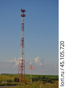 Вышка сотовой связи в Московской области (2009 год). Стоковое фото, фотограф Мария Деркунская / Фотобанк Лори
