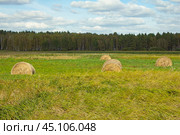 Рулоны сена на скошенном поле. Стоковое фото, фотограф Илья Юрукин / Фотобанк Лори