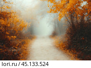Foggy autumn path surrounded by trees with golden leaves. The foliage creates a warm atmosphere, while the fog gives the scene a mystical and mysterious look. This image conveys a sense of coziness, tranquility and autumn inspiration. Стоковое AI-изображение, AI-художник Анна Кривицкая / Фотобанк Лори