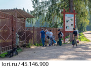 Люди принесли яблоки к вольеру с зубробизонами. Парк семейного отдыха «Зубровник». Посёлок Токсово Всеволожского района Ленинградской области (2024 год). Редакционное фото, фотограф Румянцева Наталия / Фотобанк Лори