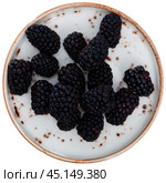 Black mulberry berries sweet summer fruits. Стоковое фото, фотограф Яков Филимонов / Фотобанк Лори