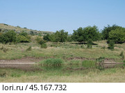 Hillside on the bank of a small river. Стоковое фото, фотограф Andrew_Swarga / Фотобанк Лори