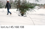 Father and Son in winter snow forest walking. Happy man is pulling child on sled. Dad sledding son. Стоковое видео, видеограф Марина Демидюк / Фотобанк Лори
