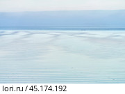 Dissipating morning fog over the water surface of a full-flowing river. Natural background. Стоковое фото, фотограф Роман Дзюбало / Фотобанк Лори