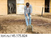 Guy worker scoops horse droppings into shovel and cleans up cattle. Стоковое фото, фотограф Яков Филимонов / Фотобанк Лори
