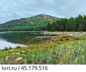 Tranquil autumn landscape by the White Sea in Kandalaksha, showcasing vibrant foliage and serene waters. Стоковое фото, фотограф Александра Селина / Фотобанк Лори