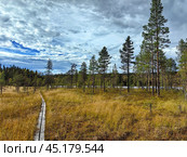 Exploring the serene autumn landscape of Paanajarvi National Park in Karelia during a cloudy afternoon. Стоковое фото, фотограф Александра Селина / Фотобанк Лори