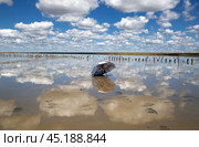Зонтик на поверхности озера Эльтон (2022 год). Редакционное фото, фотограф Ольга Дубровская / Фотобанк Лори