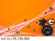 Banner. Modern background with cobwebs, spiders, on an orange background. Halloween with copy space for text. Flat lay, top. Стоковое фото, фотограф Photojuli / Фотобанк Лори