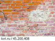 Высолы на кирпичной стене. Воронеж. Стоковое фото, фотограф Владимир Шибаев / Фотобанк Лори
