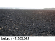 A field where the harvest has been reaped. Стоковое фото, фотограф Andrew_Swarga / Фотобанк Лори