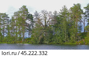 landscape with river and forest in Karelia. Стоковое видео, видеограф Михаил Коханчиков / Фотобанк Лори