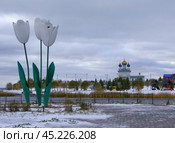 "Тюльпаны" и Церковь иконы Божией Матери Утоли моя печали, Челябинск. Редакционное фото, фотограф Алексей Иванов / Фотобанк Лори