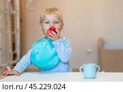 Baby food. The first meal. Feeding the baby. A cute kid is eating an apple. Healthy eating. Fresh vegetables and fruits. Стоковое фото, фотограф Photojuli / Фотобанк Лори
