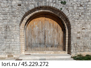 The background old beige stony wall with retro door. Стоковое фото, фотограф Татьяна Ляпи / Фотобанк Лори