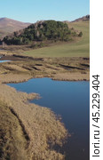 Vertical drone video of flying over a hilly rural landscape with fish ponds. Altai Krai. Стоковое видео, видеограф Сергей Пристяжнюк (Serg Zastavkin) / Фотобанк Лори