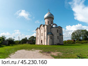 Церковь Спаса Преображения на Нередице. Великий Новгород (2023 год). Стоковое фото, фотограф Александр Щепин / Фотобанк Лори