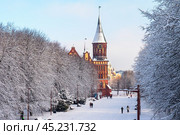 Kaliningrad Cathedral. The historical center of the city. The grave of Immanuel Kant. Winter in the city. (2021 год). Редакционное фото, фотограф Zima Nadezhda / Фотобанк Лори