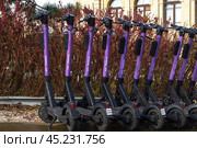 Electric scooters in the car park. Purple scooters for hire. (2022 год). Редакционное фото, фотограф Zima Nadezhda / Фотобанк Лори