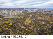 Пойма Старки у Новой Кузнечихи (Нижний Новгород) Стоковое фото, фотограф Илья Старков / Фотобанк Лори