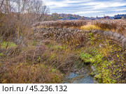 Река Старка под крутыми берегами. Стоковое фото, фотограф Илья Старков / Фотобанк Лори