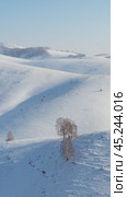 Vertical Aerial video from drone on winter snow landscape. Biryuksinsky mountain pass in Altai. Стоковое видео, видеограф Сергей Пристяжнюк (Serg Zastavkin) / Фотобанк Лори