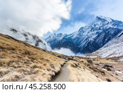 View of Mount Machapuchare from Nepali meaning Fishtail Mountain, Annapurna Conservation Area, Himalaya, Nepal (2018 год). Стоковое фото, фотограф VittoriaChe / Фотобанк Лори