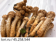 Собранные осенние опята на белом фоне с тенями. Королевский опёнок./ Collected autumn honey mushrooms on a white background with shadows. Royal honey fungus. Стоковое фото, фотограф Iva Noel / Фотобанк Лори
