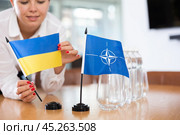 Young woman puts flags of Ukraine and NATO on table in office. Стоковое фото, фотограф Яков Филимонов / Фотобанк Лори