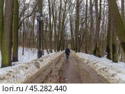 Зимой на дорожках городского парка образуются лужи от растаявшего снега. Заледеневшие дорожки для прогулок в зимнем парке. Зимой деревья стоят без листьев. Парк в Царицыно. Стоковое фото, фотограф Эдуард Белкин / Фотобанк Лори