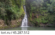 A picturesque tropical waterfall. Streams of water fall from a sheer cliff into the lake. Lush green vegetation on the slope. Mauritius. La Vallée Des Couleurs Nature Park. Стоковое фото, фотограф Вера Ивановна Кубарева / Фотобанк Лори
