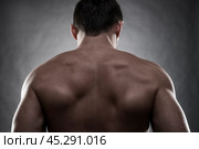 Handsome muscular bodybuilder posing on gray background. Low key studio shot. Стоковое фото, фотограф Станислав Тарко / Фотобанк Лори
