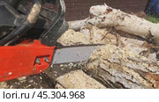 Man cutting wood with a chainsaw: Vigorous preparation for winter. Стоковое AI-видео, аниматор Юрий Поздников / Фотобанк Лори