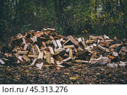 Поленница нарубленных дров на фоне леса. Стоковое фото, фотограф Константин Григорьев / Фотобанк Лори