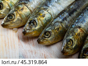 Pickled pilchards on wooden background with copyspace. Стоковое фото, фотограф Яков Филимонов / Фотобанк Лори