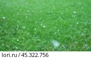 Heavy snowfall at spring. Snow and blurred green grass, trees. Slowly falling snow flakes. Bad snowy weather day. Summer nature background. No People, Super Slow motion. Snowstorm. Change of season. Стоковое видео, видеограф Марина Демидюк / Фотобанк Лори