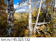 Хакасия, горная гряда Сундуки, Белый Июс (2019 год). Редакционное фото, фотограф Александр Галинский / Фотобанк Лори
