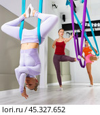 Different inversion aerial yoga with hammock. Стоковое фото, фотограф Яков Филимонов / Фотобанк Лори