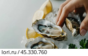 Свежие устрицы на льду с лимоном для блюд из морепродуктов и кулинарных изысков. Стоковое AI-изображение, AI-художник ФотоИнтеллект / Фотобанк Лори