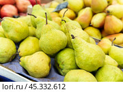 ripe agriculture space copy background diet crop bunch food fresh pear fruit freshness closeup. Стоковое фото, фотограф ilya Lyubchenko / Фотобанк Лори