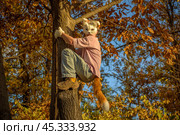 Квадробер в парке на дереве. Стоковое фото, фотограф Григорий Михайлович Жгилёв / Фотобанк Лори