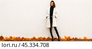 Young woman, slim, trendy autumn attire, poses with style, neutral backdrop, orange leaves ground, seasonal elegance captured. Стоковое фото, фотограф Павел Муравьев / Фотобанк Лори