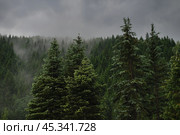 Горы. Стоковое фото, фотограф Шершунов Степан / Фотобанк Лори