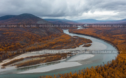 Autumn landscape. Aerial view of the river valley and mountains. Top view of the river and forest. Yellow larch trees. Beautiful northern nature. Ola river, Magadan Region, Siberia, Far East of Russia. Стоковое фото, фотограф Андрей Степанов / Фотобанк Лори
