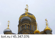 Купола храма Успения Пресвятой Богородицы. Санкт-Петербург, набережная Лейтенанта Шмидта, 27 (2019 год). Стоковое фото, фотограф Алексей Иванов / Фотобанк Лори