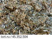 Closeup of organic mass of ensiled corn stalks and leaves. Стоковое фото, фотограф Яков Филимонов / Фотобанк Лори