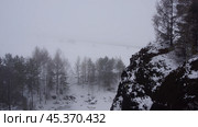 Зимний пейзаж с заснеженными деревьями и скалой. Стоковое фото, фотограф Андрей Шайковский / Фотобанк Лори