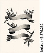 Decorative vintage ribbon design adorned with foliage elements for a historical or artistic project. Стоковое AI-изображение, AI-художник Сергей Толмачёв / Фотобанк Лори