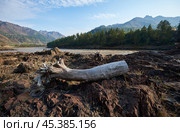 A log lies on the rocks on the bank of the Katun River in Altai. On background Altai village Elanda. Стоковое фото, фотограф Сергей Пристяжнюк (Serg Zastavkin) / Фотобанк Лори