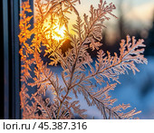 The night frost painted patterns on the window panes. New Year's decor. Festive New Year's atmosphere. Стоковое AI-изображение, AI-художник Сергей Елизарьев / Фотобанк Лори